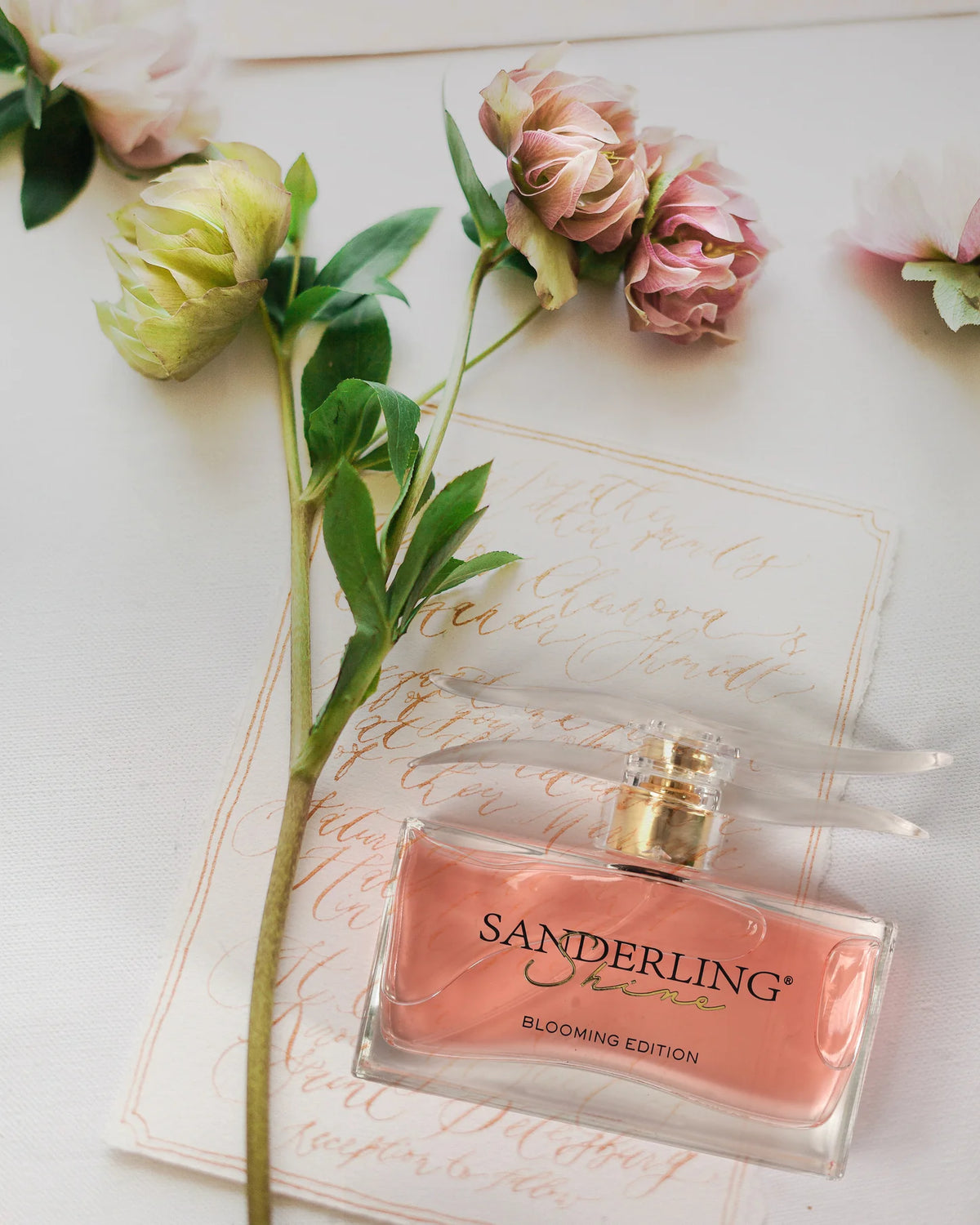 SANDERLING SHINE BLOOMING EDITION SISTELLE PARIS EDP 95 ML